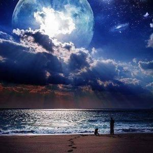 Meet your Posher, Theresa